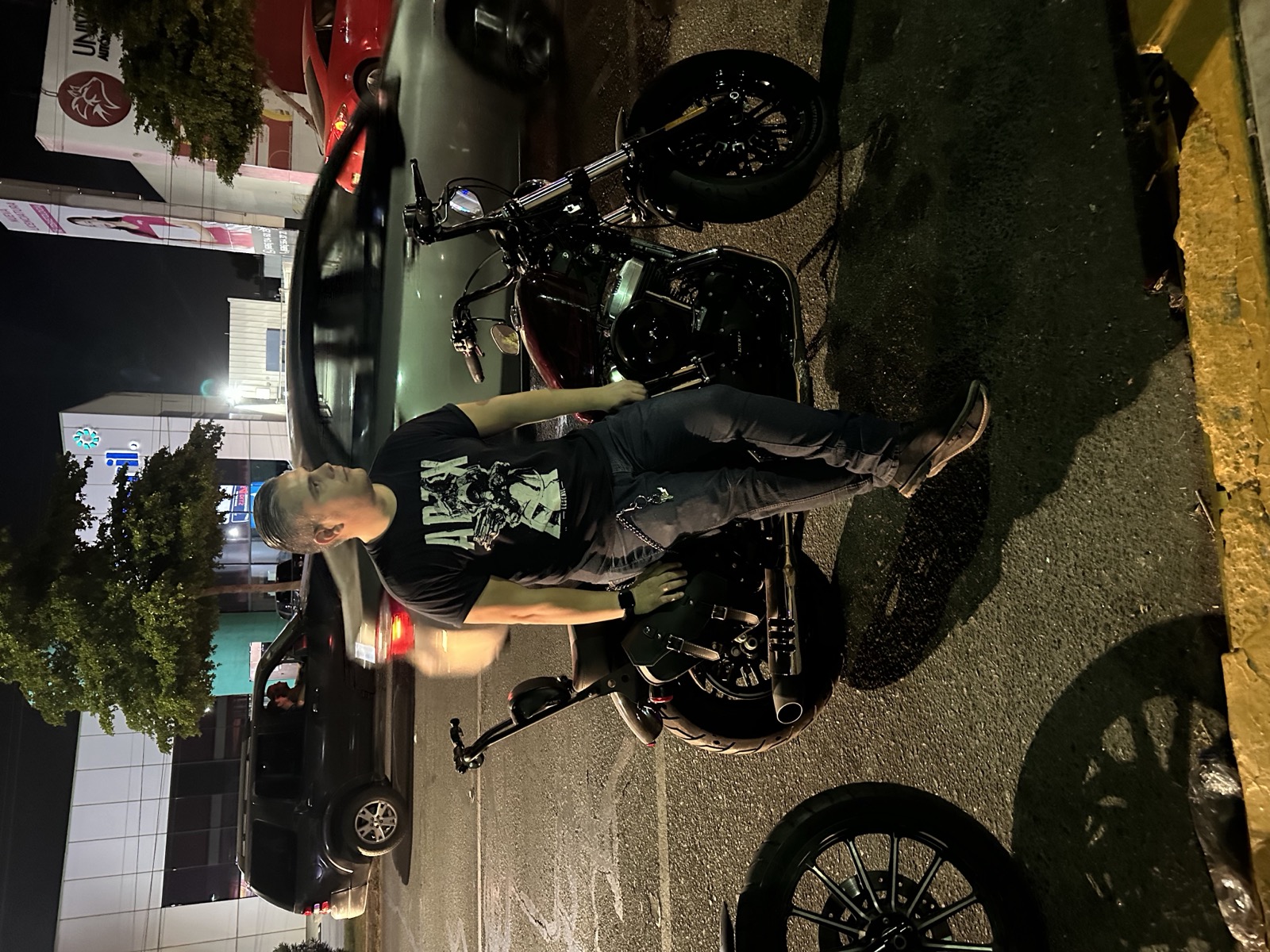 2017 Harley Davidson Sportster Forty-Eight